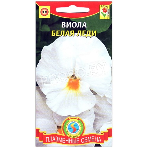 Виола виттрока Белая леди