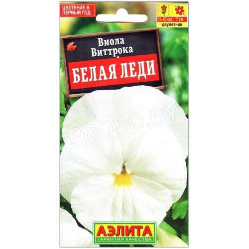 Виола виттрока Белая леди-1