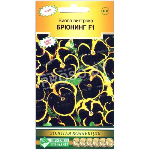 Виола виттрока Брюнинг F1