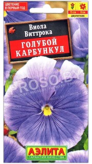 Виола виттрока Голубой карбункул