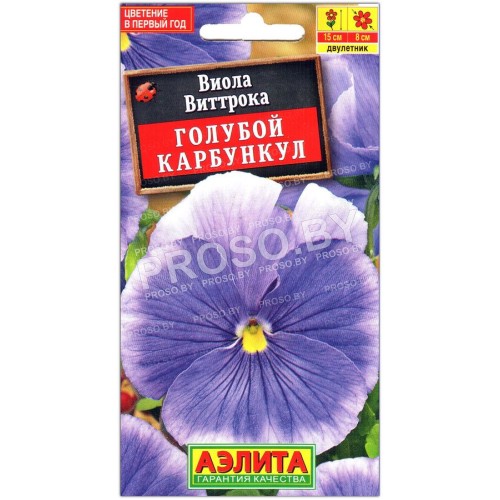 Виола виттрока Голубой карбункул