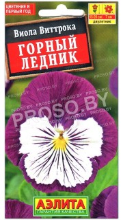 Виола виттрока Горный ледник