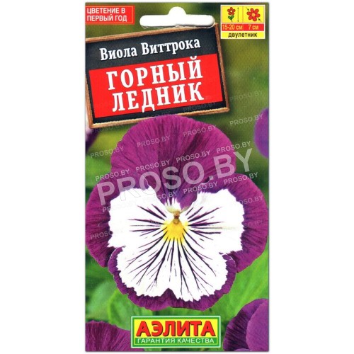 Виола виттрока Горный ледник