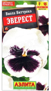 Виола виттрока Эверест
