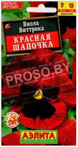 Виола виттрока Красная шапочка