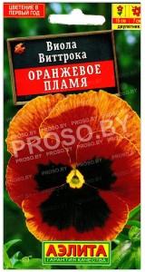 Виола виттрока Оранжевое пламя