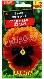 Виола виттрока Оранжевое пламя