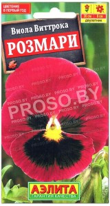 Виола виттрока Розмари