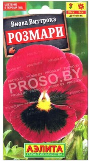 Виола виттрока Розмари