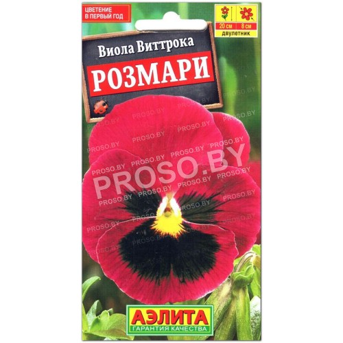 Виола виттрока Розмари