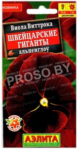 Виола виттрока Швейцарские гиганты альпенглоу