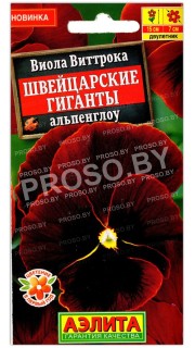 Виола виттрока Швейцарские гиганты альпенглоу