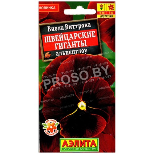 Виола виттрока Швейцарские гиганты альпенглоу