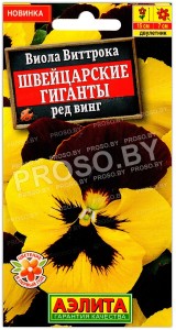 Виола виттрока Швейцарские гиганты ред винг