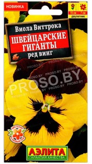 Виола виттрока Швейцарские гиганты ред винг