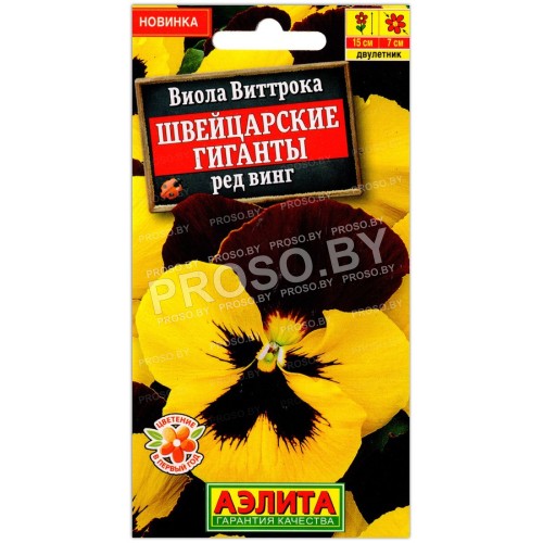 Виола виттрока Швейцарские гиганты ред винг