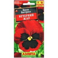 Виола виттрока Вечерний жар