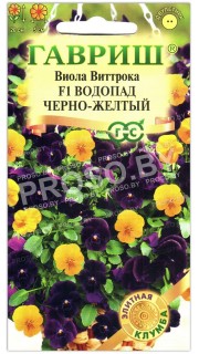 Виола виттрока Водопад черно-желтый F1