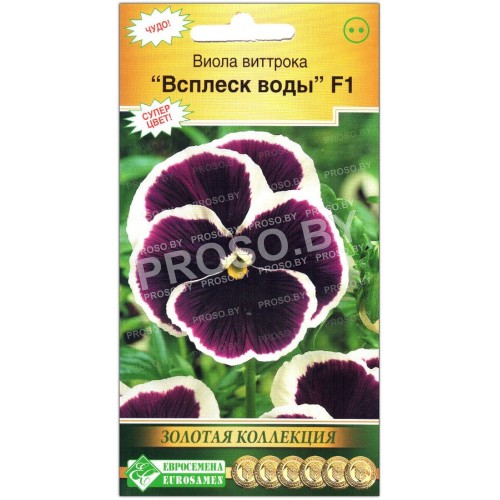 Виола виттрока Всплеск воды F1