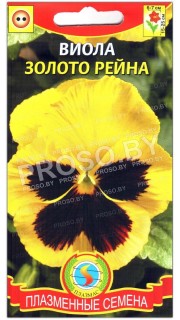 Виола Золото рейна