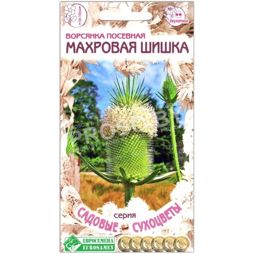 Ворсянка посевная Махровая шишка