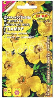 Дикраностигма франчетти Гламур