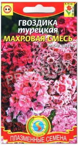 Гвоздика Турецкая махровая смесь