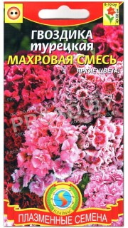 Гвоздика Турецкая махровая смесь