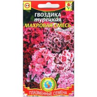 Гвоздика Турецкая махровая смесь