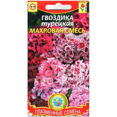 Гвоздика Турецкая махровая смесь