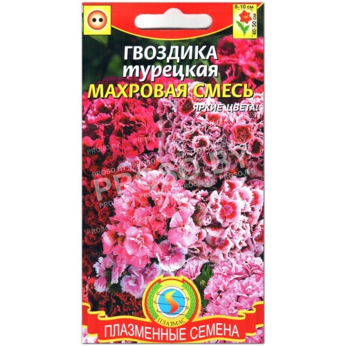Гвоздика Турецкая махровая смесь