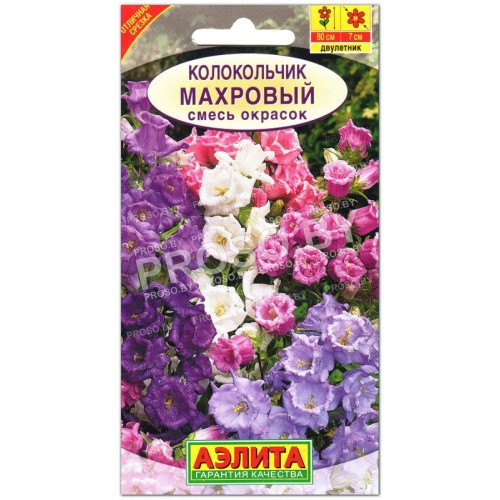 Колокольчик средний Махровая смесь-2