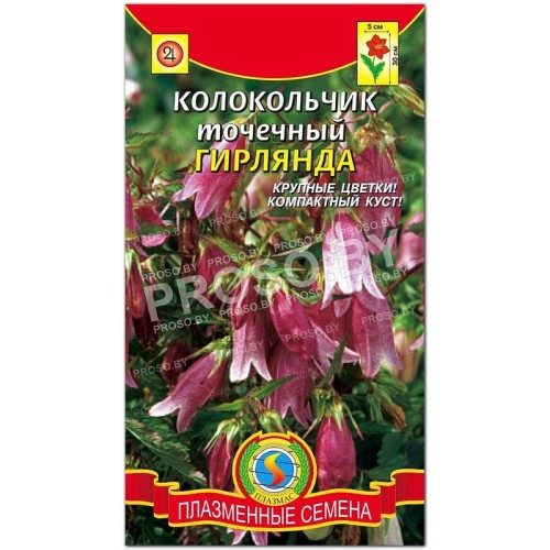 Колокольчик точечный Гирлянда