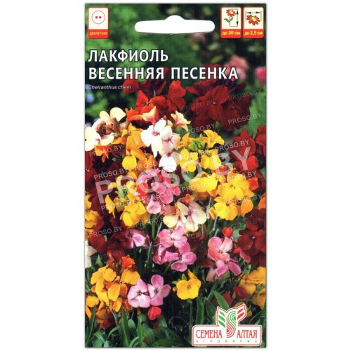Лакфиоль Весенняя песенка