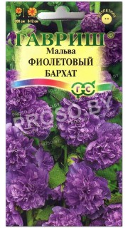 Мальва Фиолетовый бархат