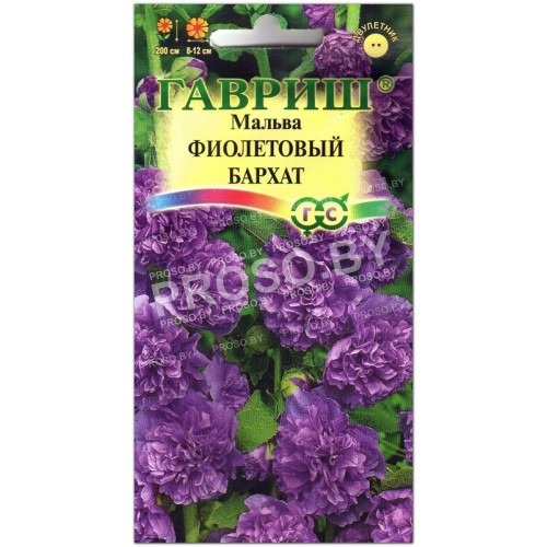 Мальва Фиолетовый бархат