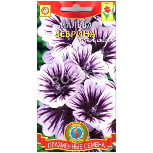 Мальва Зебрина-1