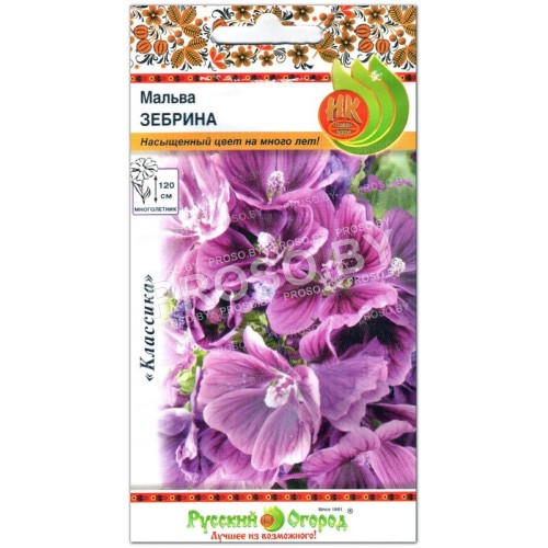 Мальва Зебрина
