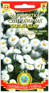 Маргаритка Белый шар