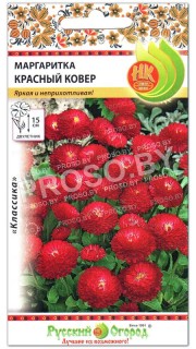 Маргаритка Красный ковер