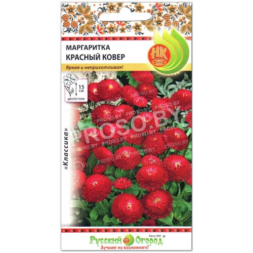 Маргаритка Красный ковер