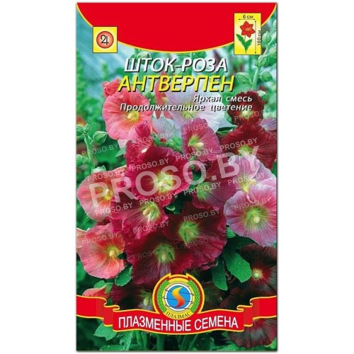Шток-роза Антверпен, смесь