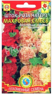 Шток-роза чатерз Махровая смесь