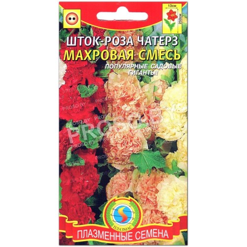 Шток-роза чатерз Махровая смесь