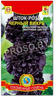 Шток-роза Черный вихрь