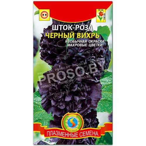 Шток-роза Черный вихрь