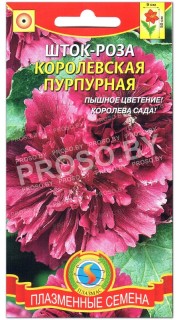 Шток-роза Королевская пурпурная