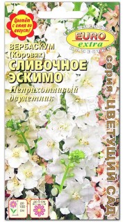 Вербаскум Сливочное эскимо