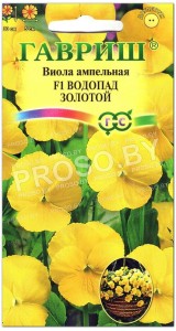 Виола Водопад золотой F1