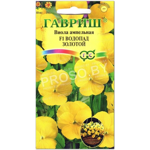 Виола Водопад золотой F1
